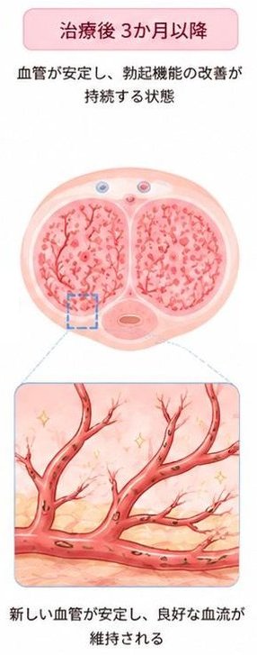 3か月以降の状態